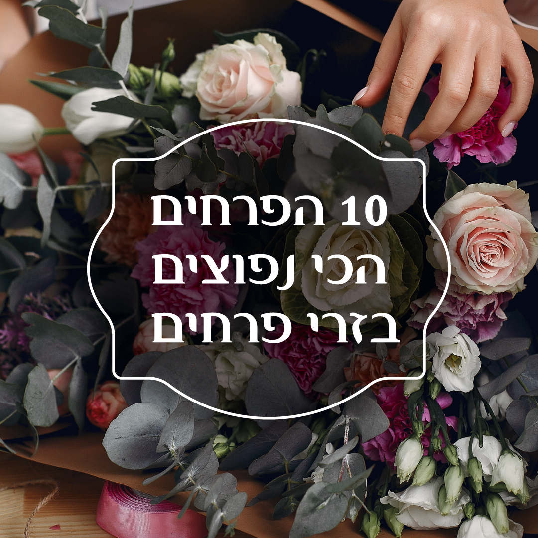 10 הפרחים הכי נפוצים בזרי פרחים 