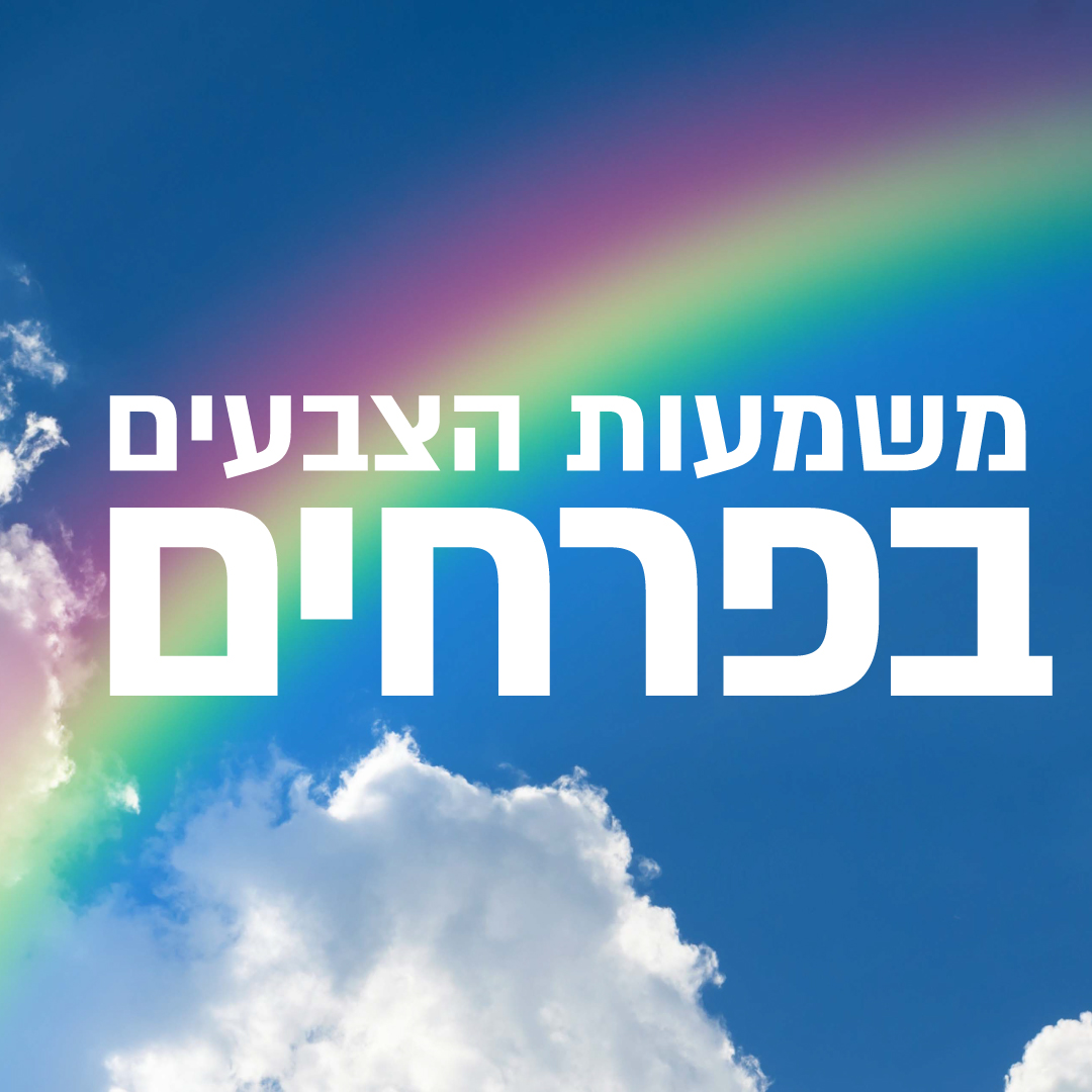 משמעות צבעים בזרי פרחים 