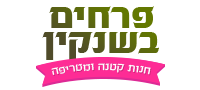 פרחים בשנקין - משלוחי פרחים תל אביב